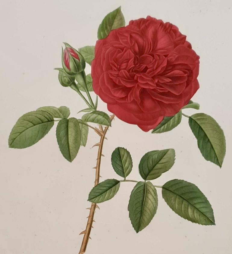 PAQUET Victor