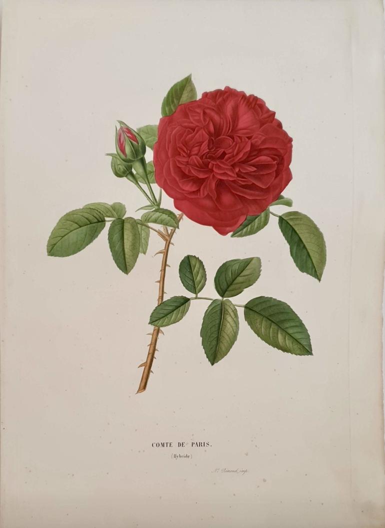 PAQUET Victor