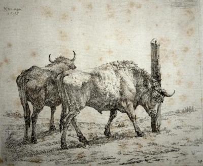 DUJARDIN Karel
