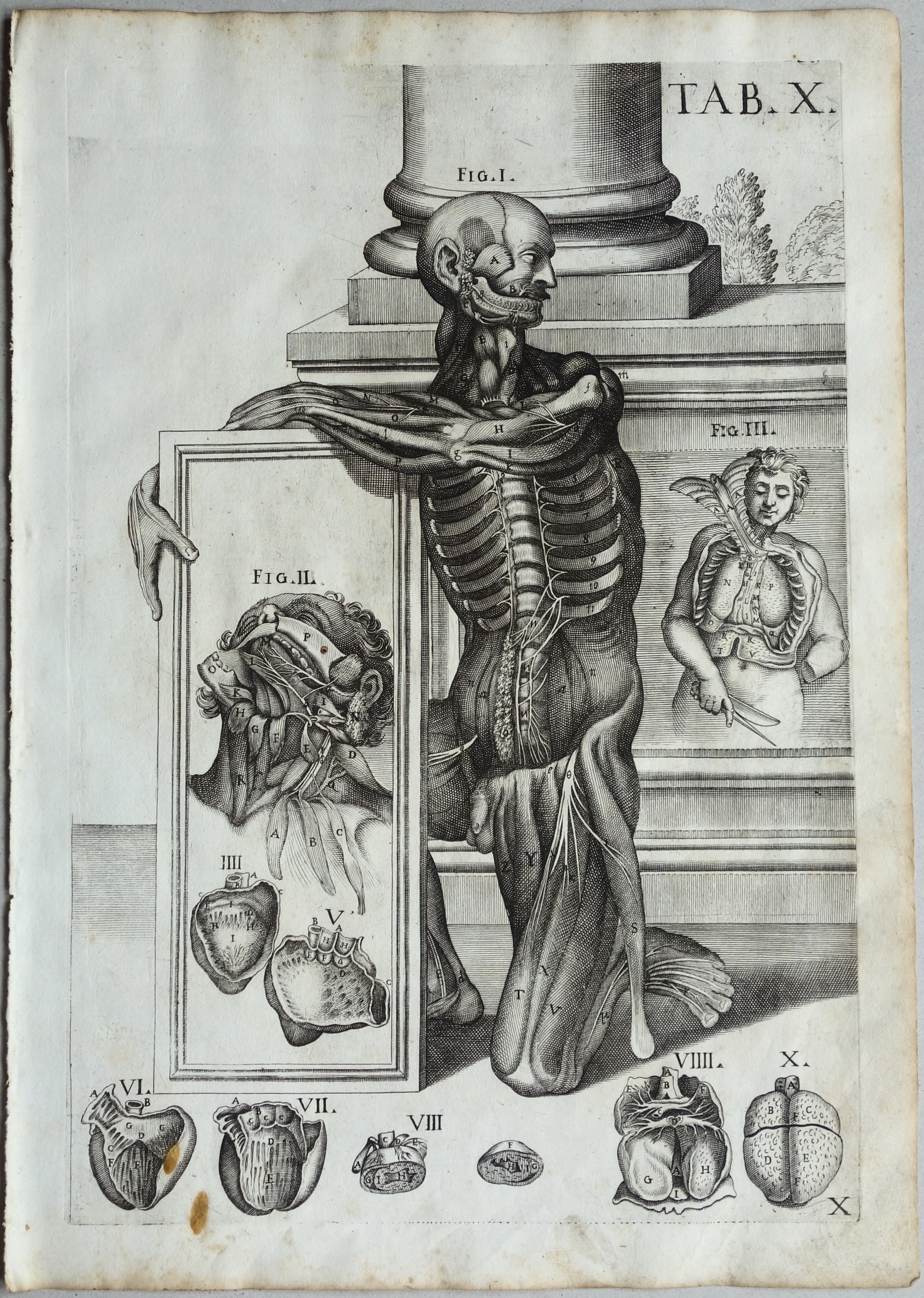 CORTONE Pierre de (d\'après)