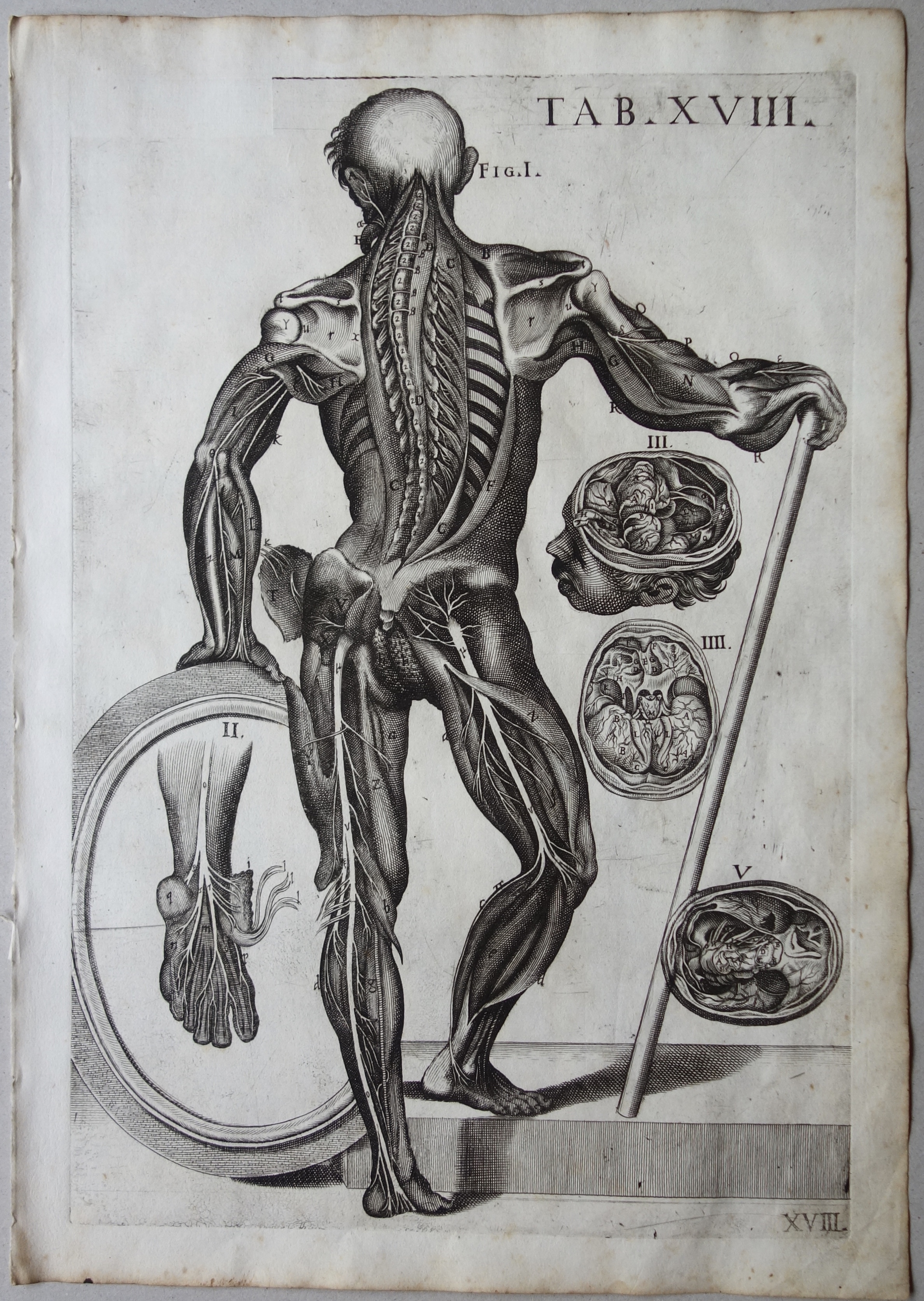 CORTONE Pierre de (d\'après)