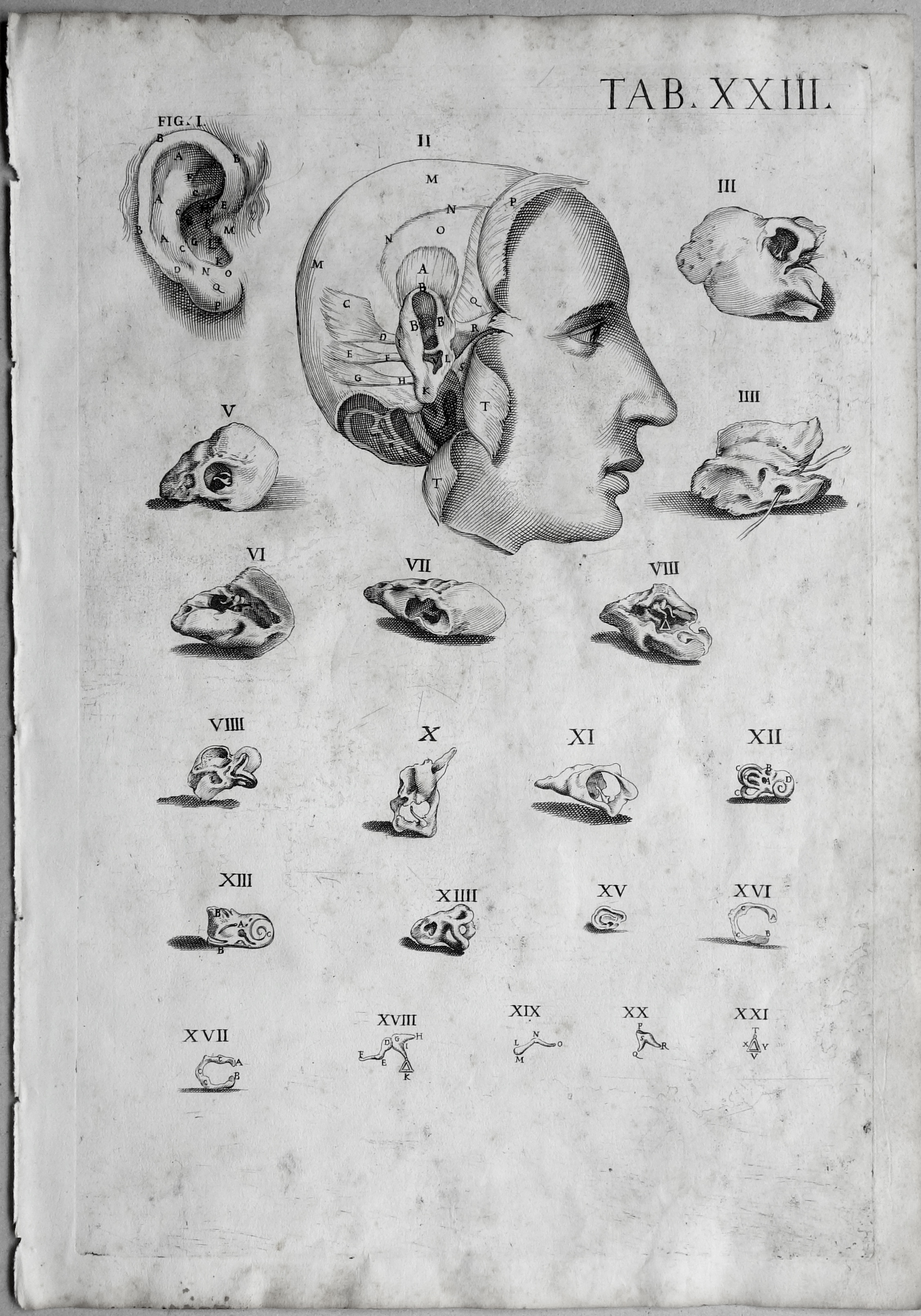 CORTONE Pierre de (d\'après)