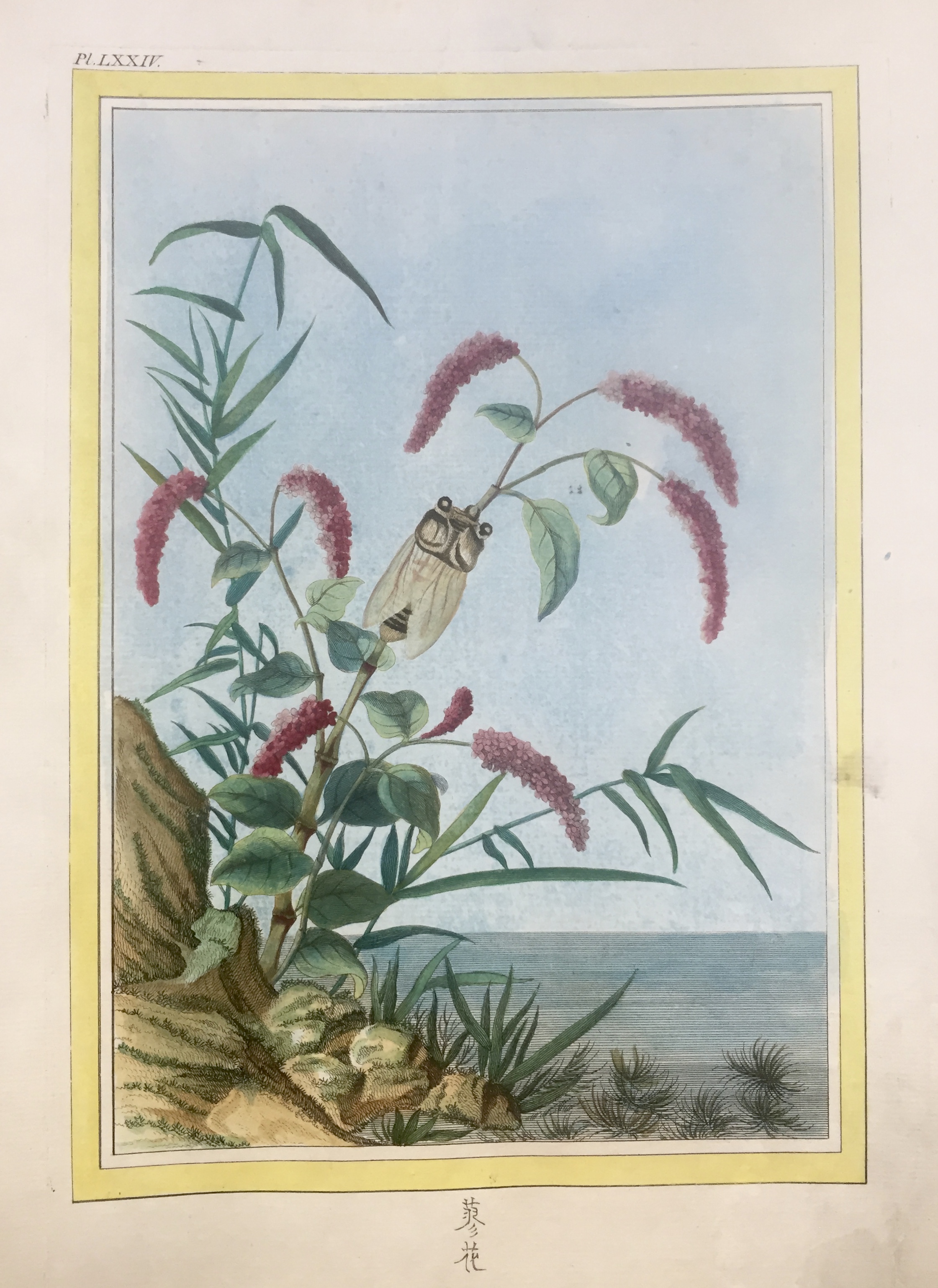 BUC\'HOZ Pierre-Joseph