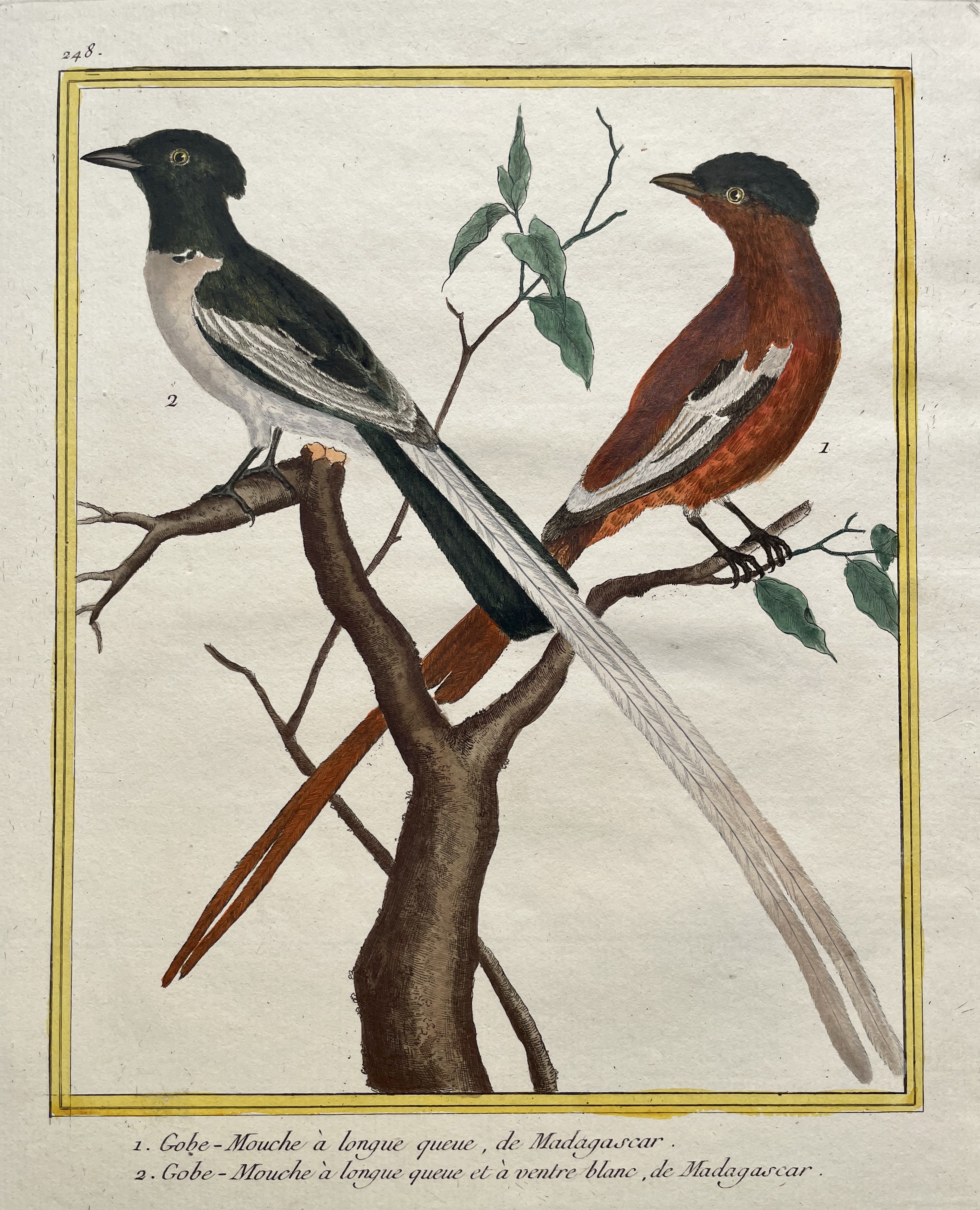 MARTINET François Nicolas