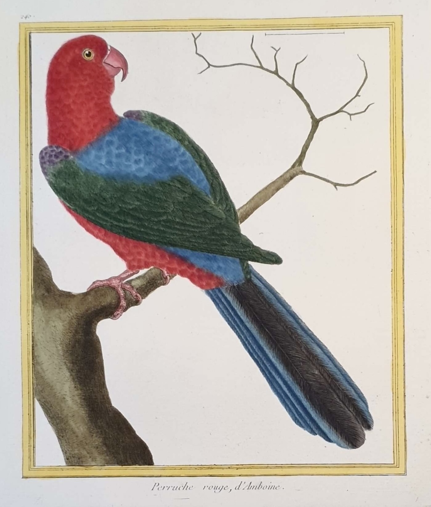 MARTINET, François Nicolas