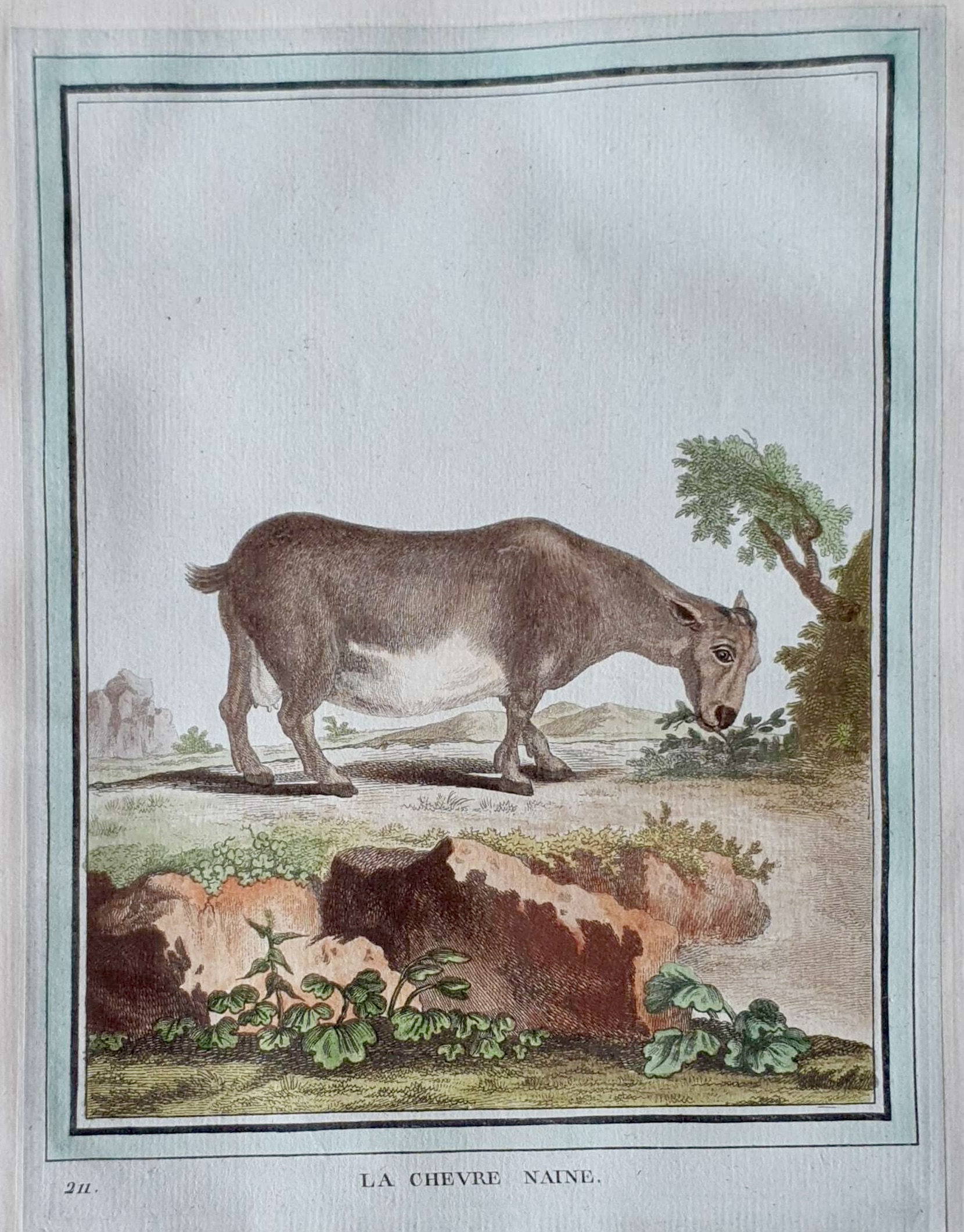 MARTINET, François Nicolas