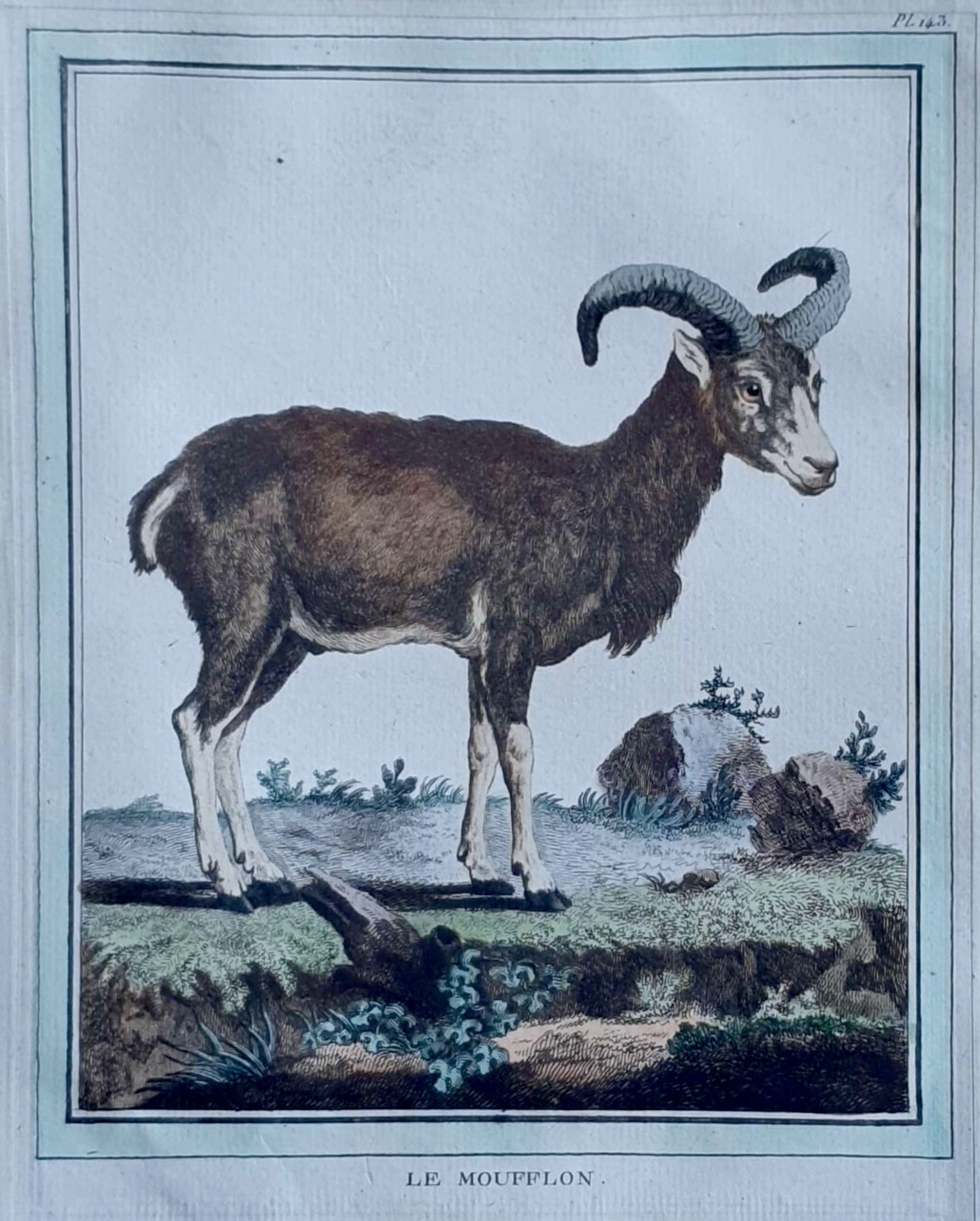 MARTINET, François Nicolas