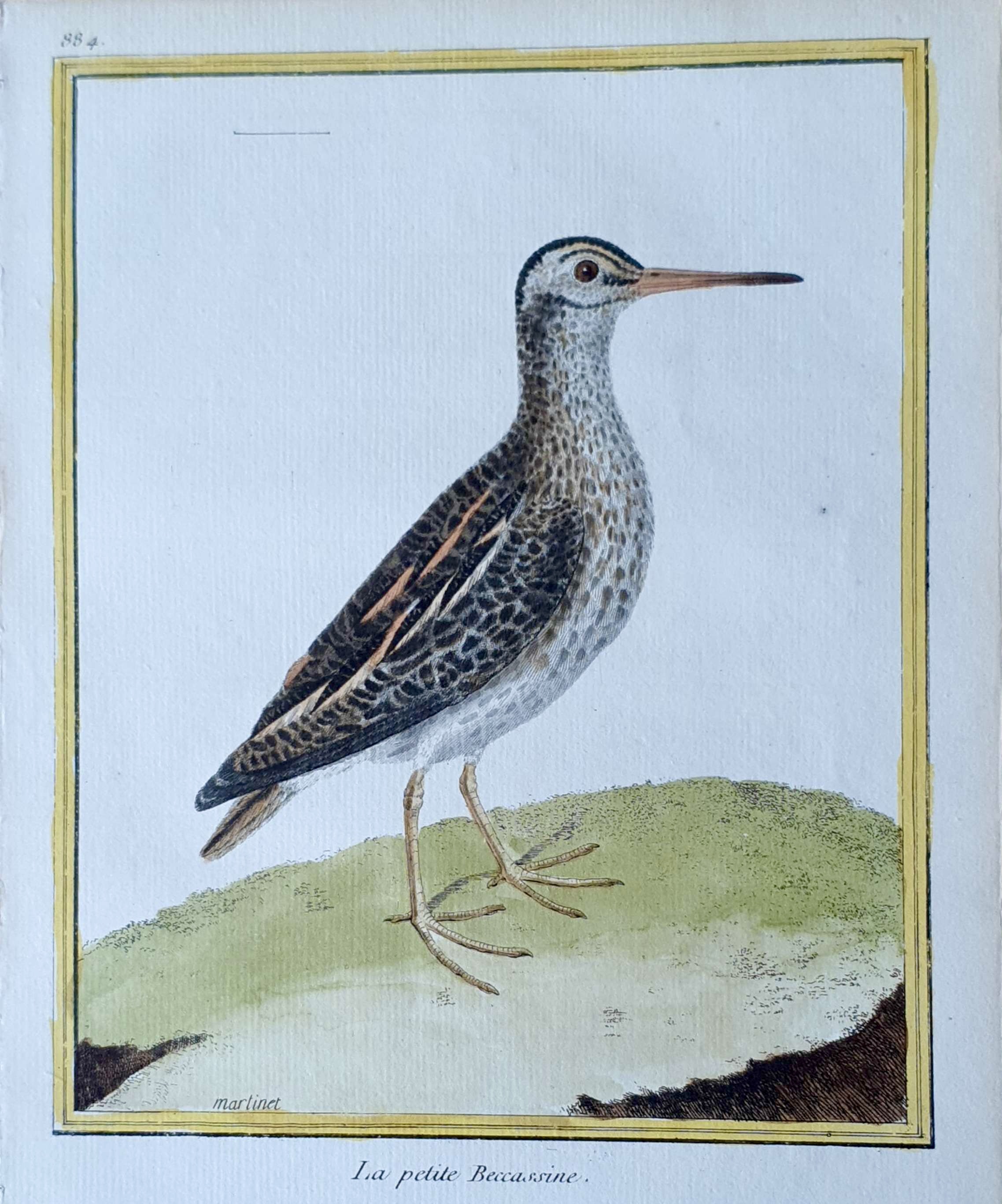 MARTINET, François Nicolas