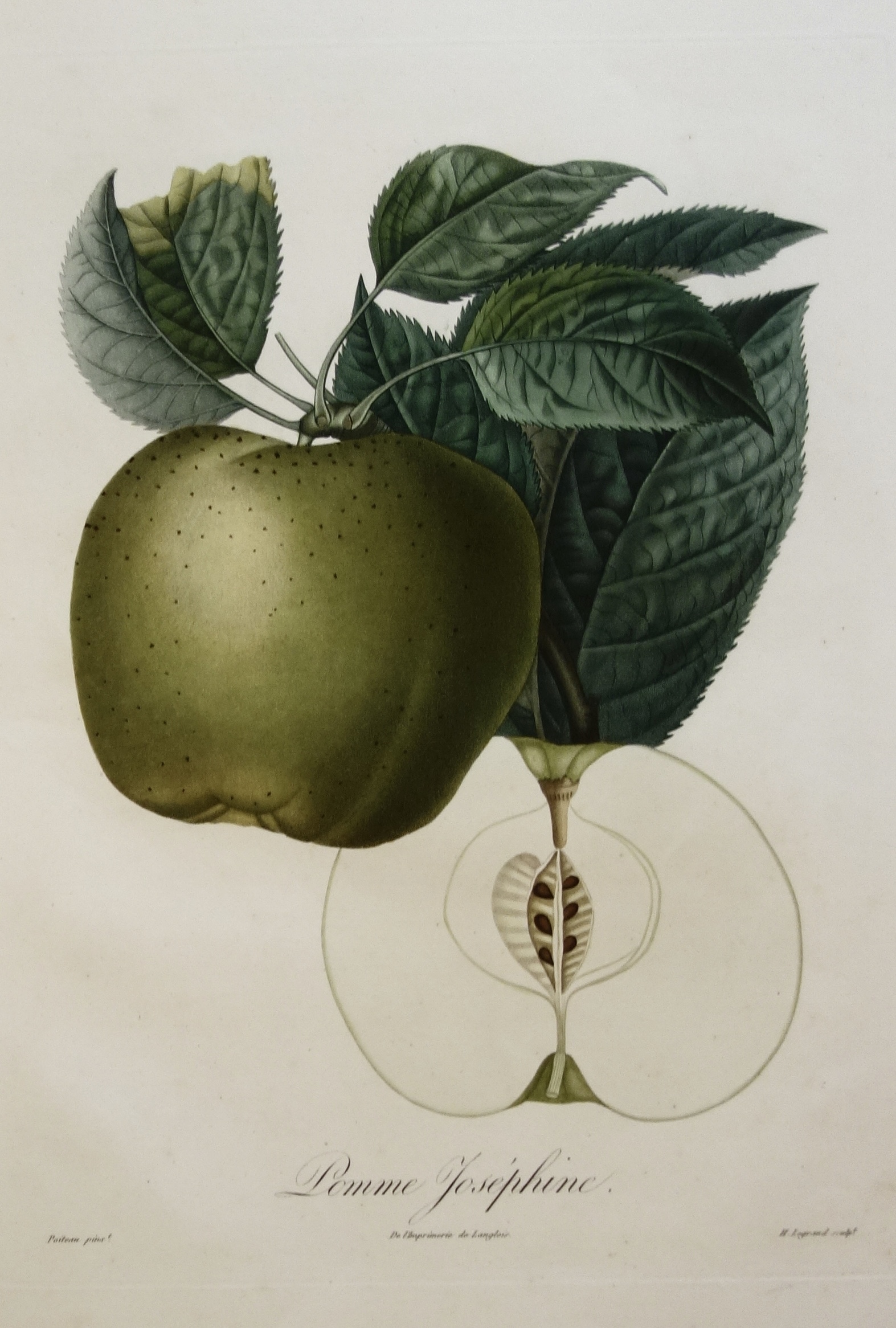 POITEAU Pierre-Antoine