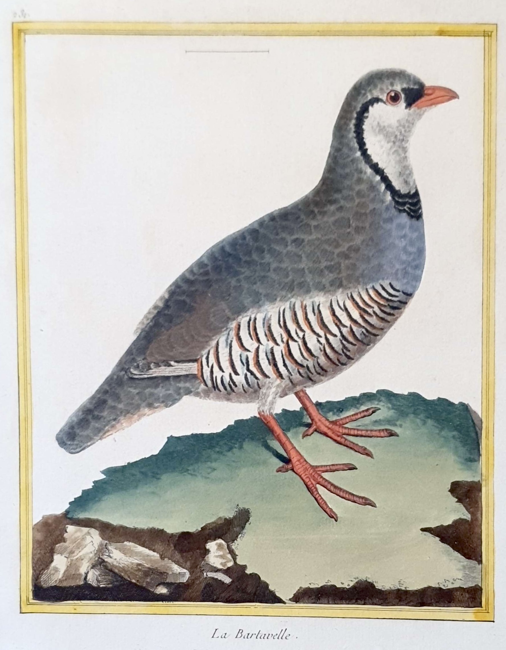 MARTINET, François Nicolas