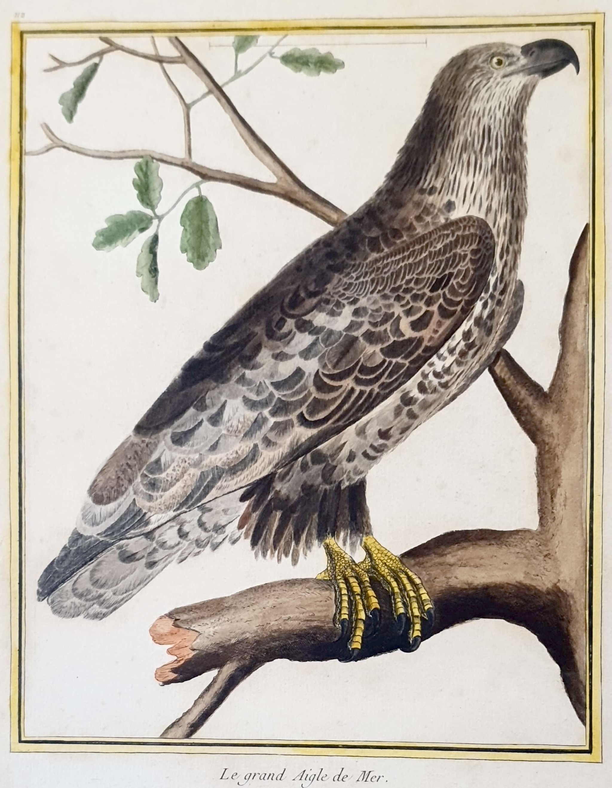 MARTINET, François Nicolas