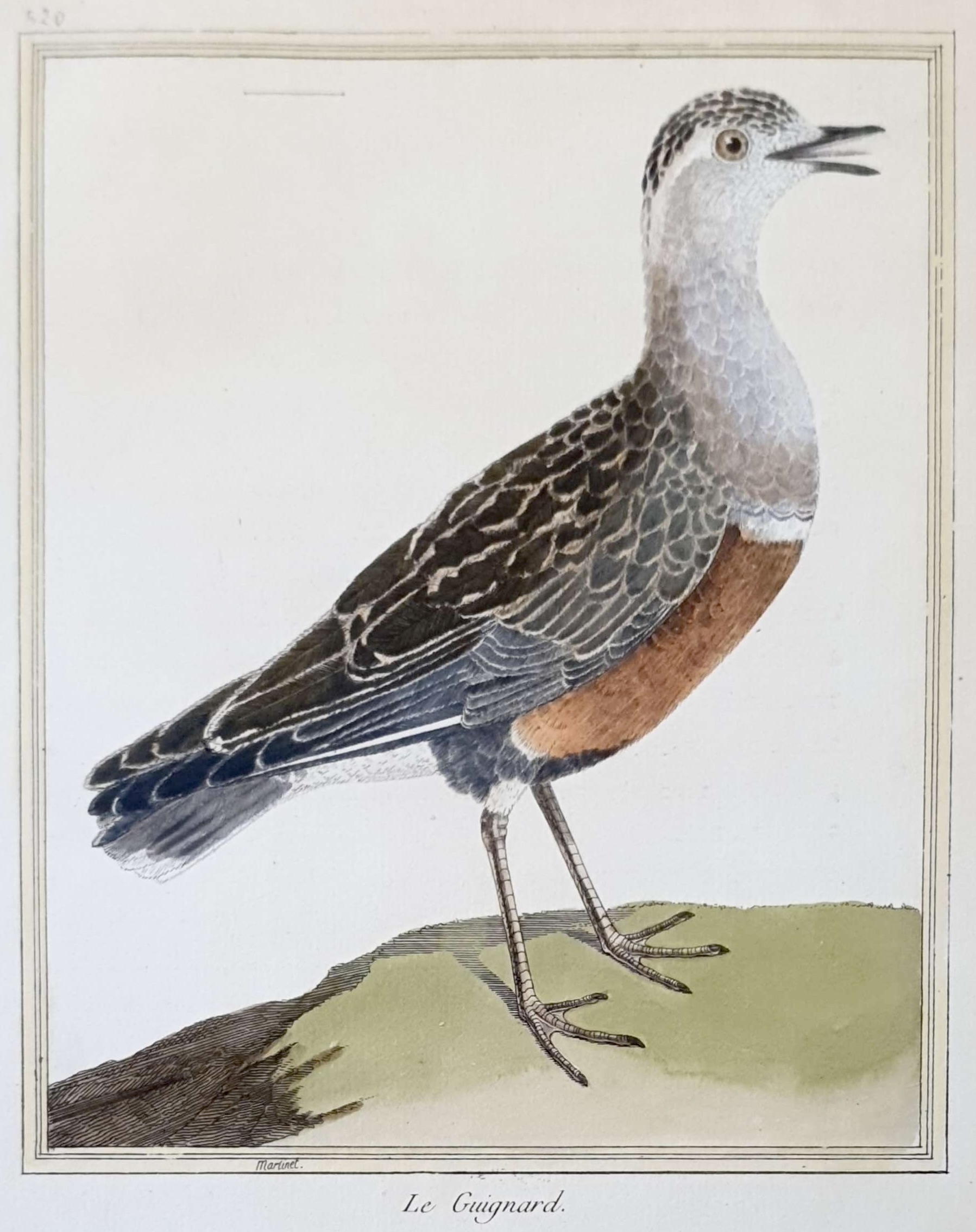 MARTINET, François Nicolas