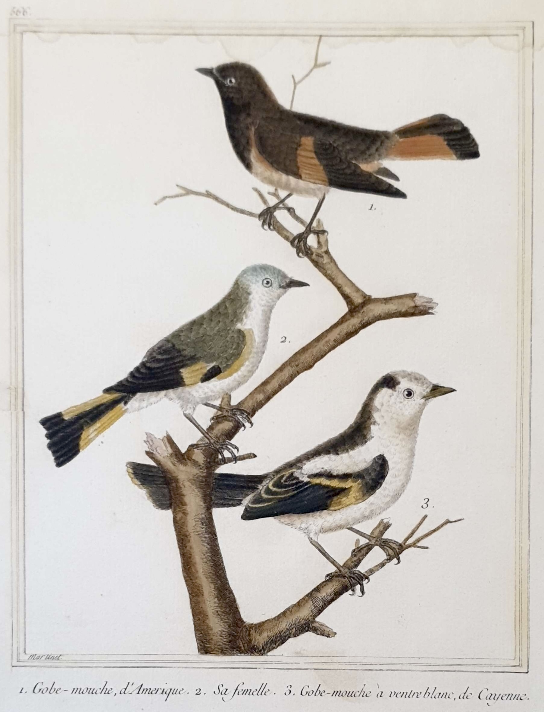 MARTINET, François Nicolas