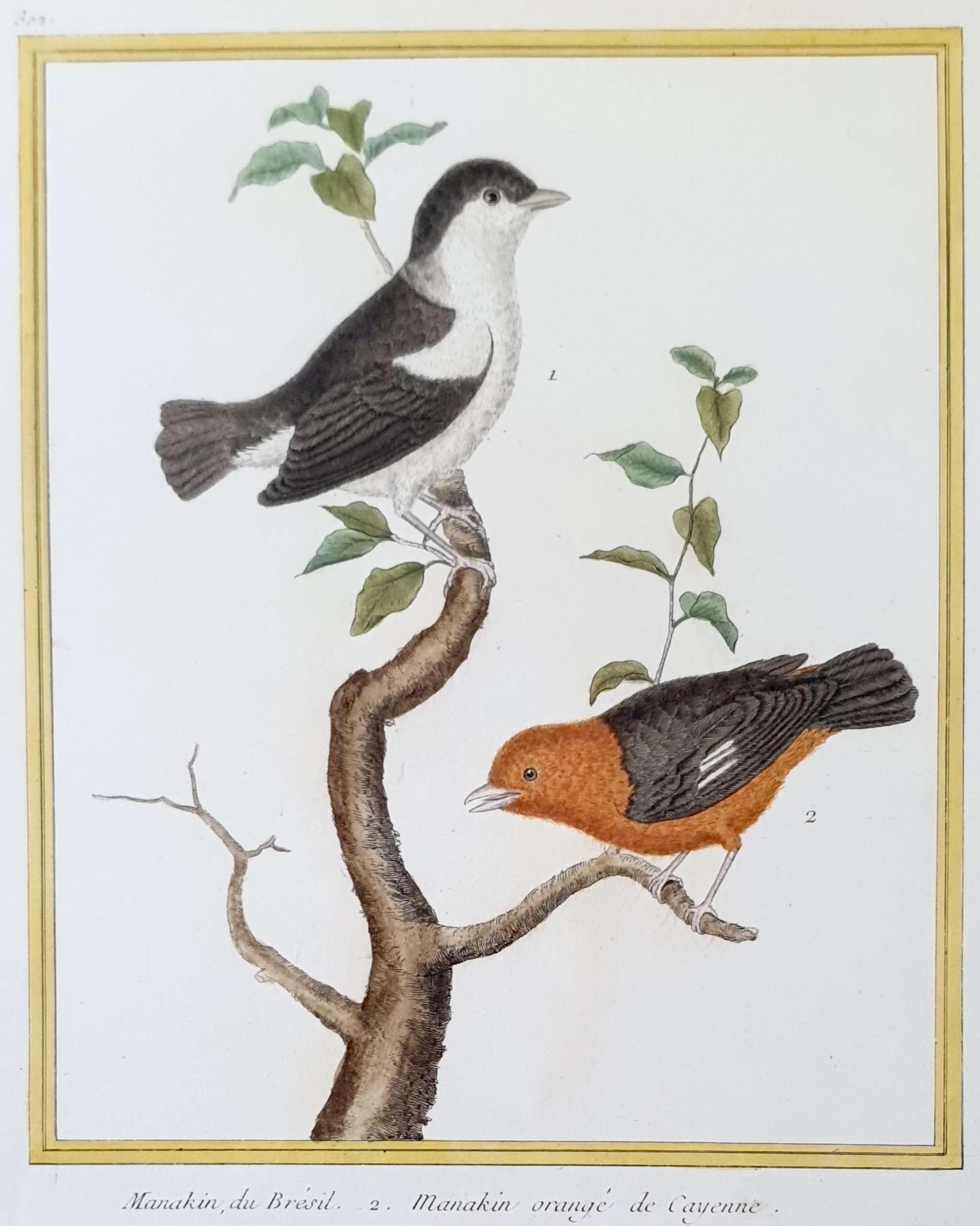 MARTINET, François Nicolas