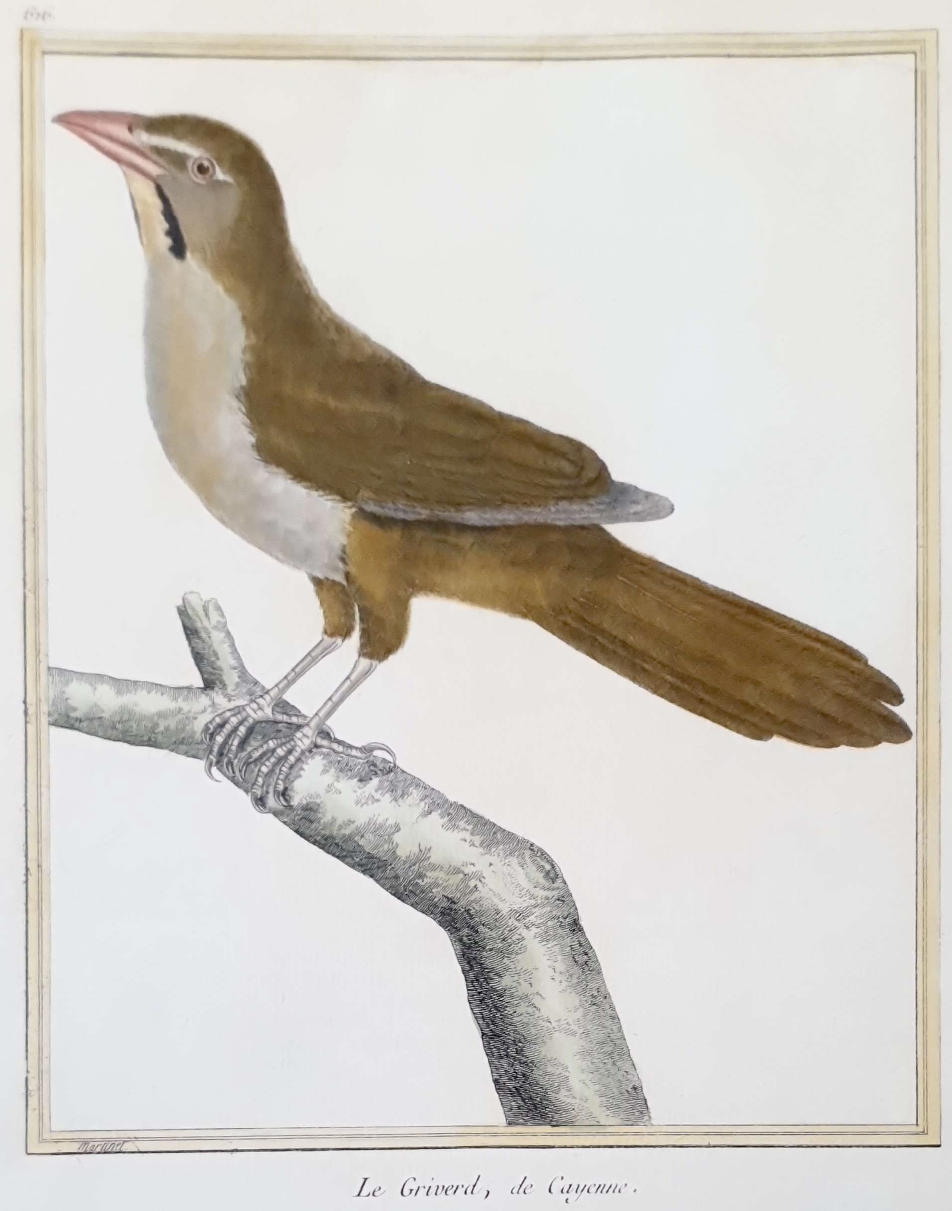 MARTINET, François Nicolas