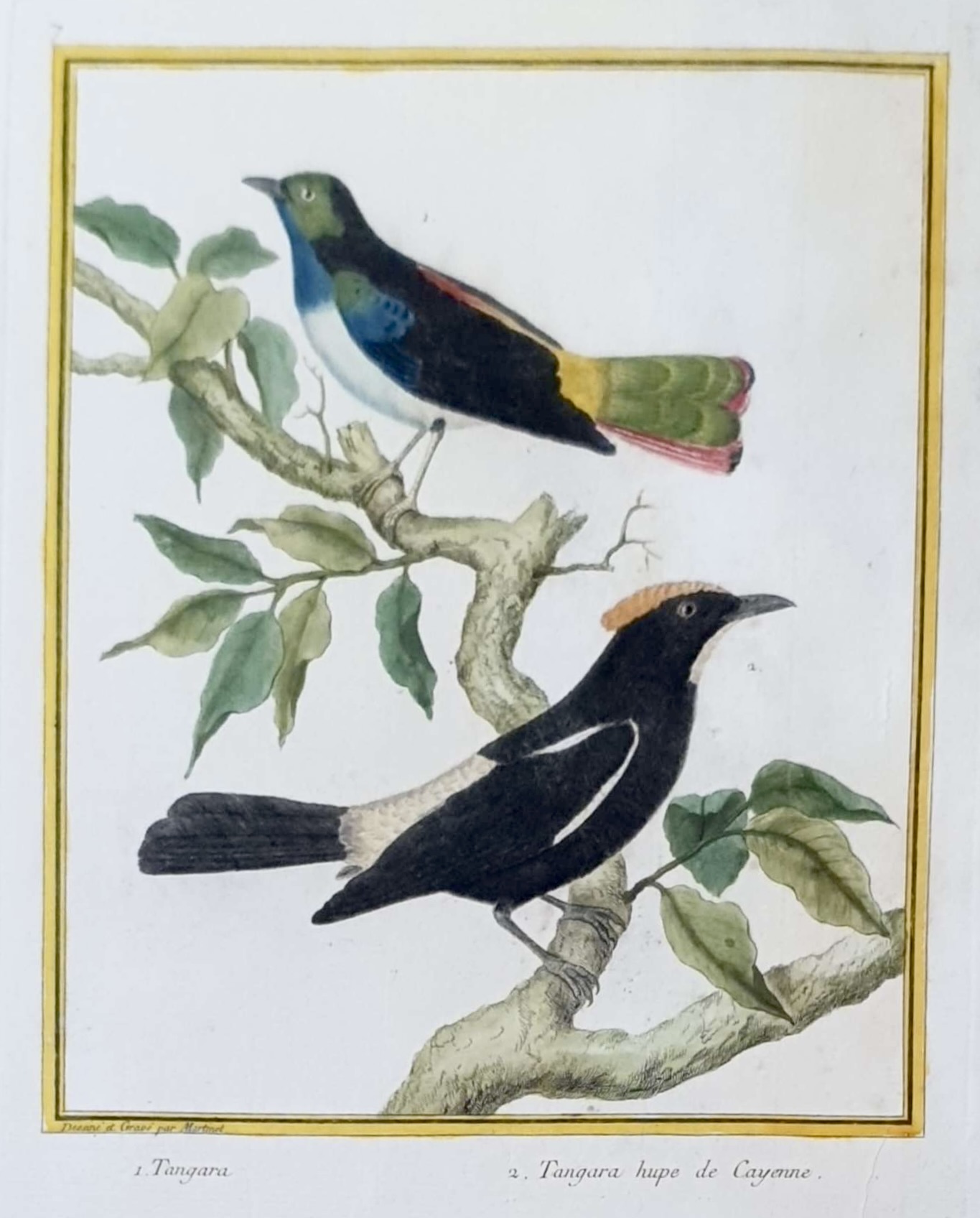 MARTINET, François Nicolas