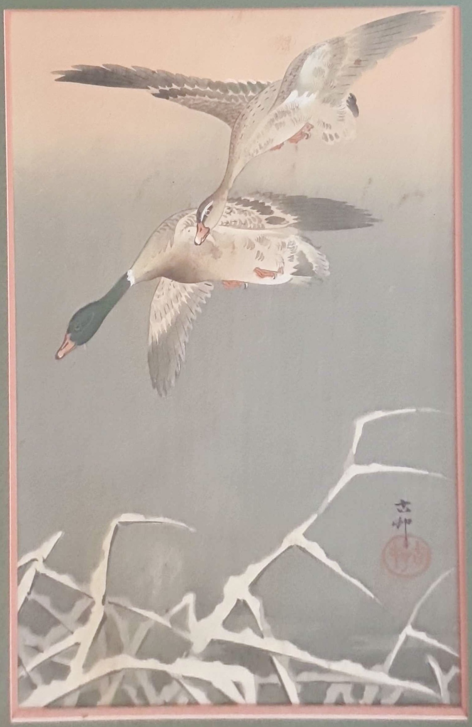 KOSON Ohara