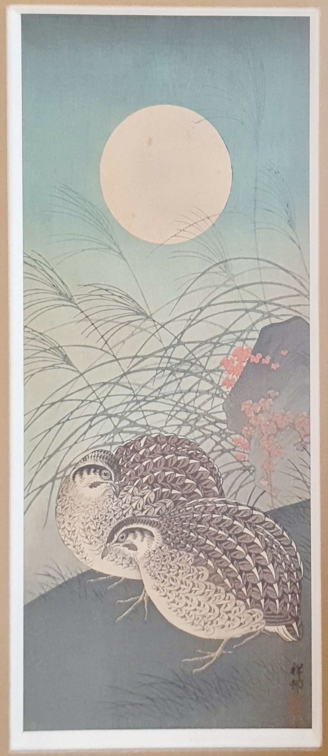 KOSON Ohara