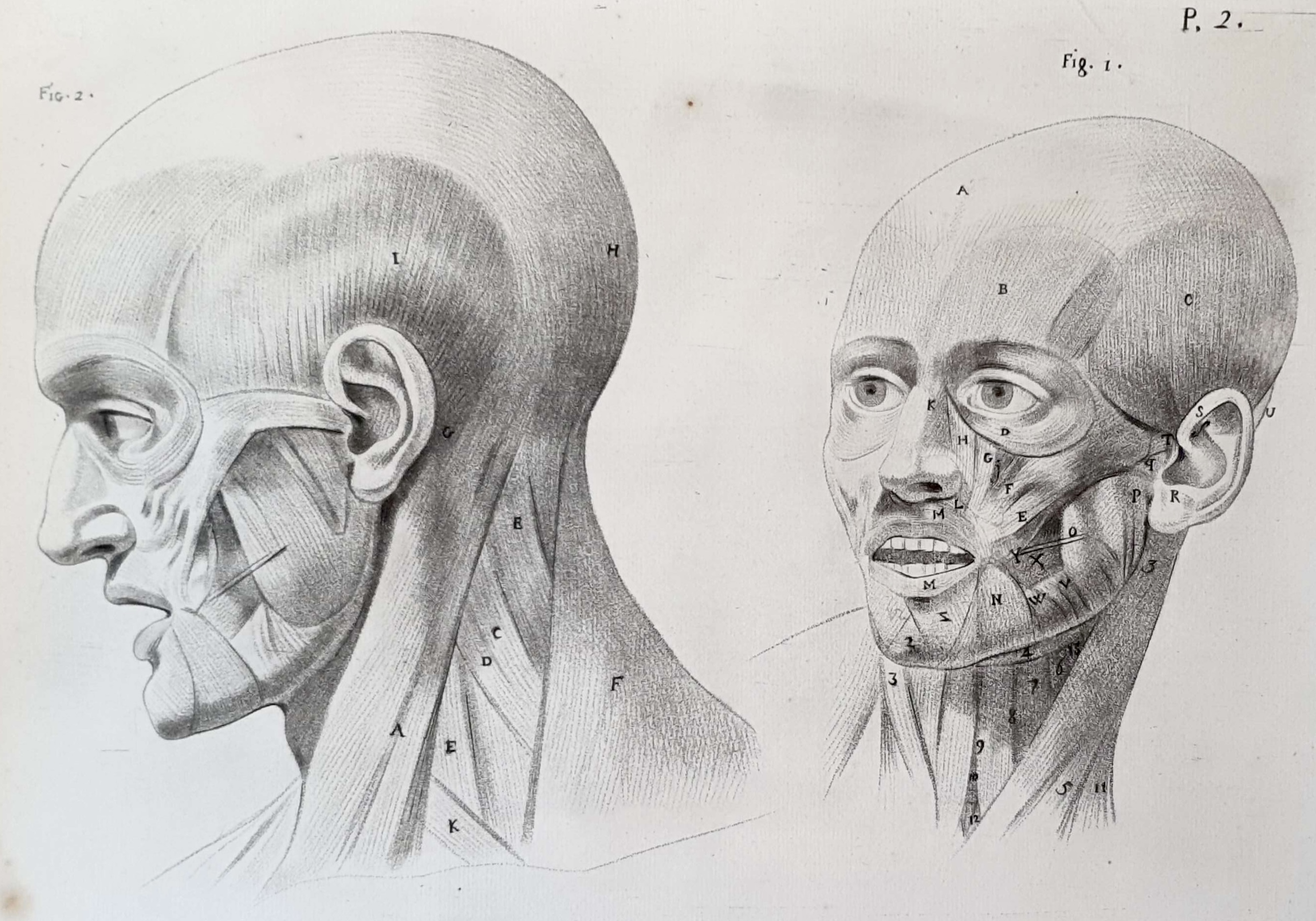 LAVALÉE Jean-Jacques