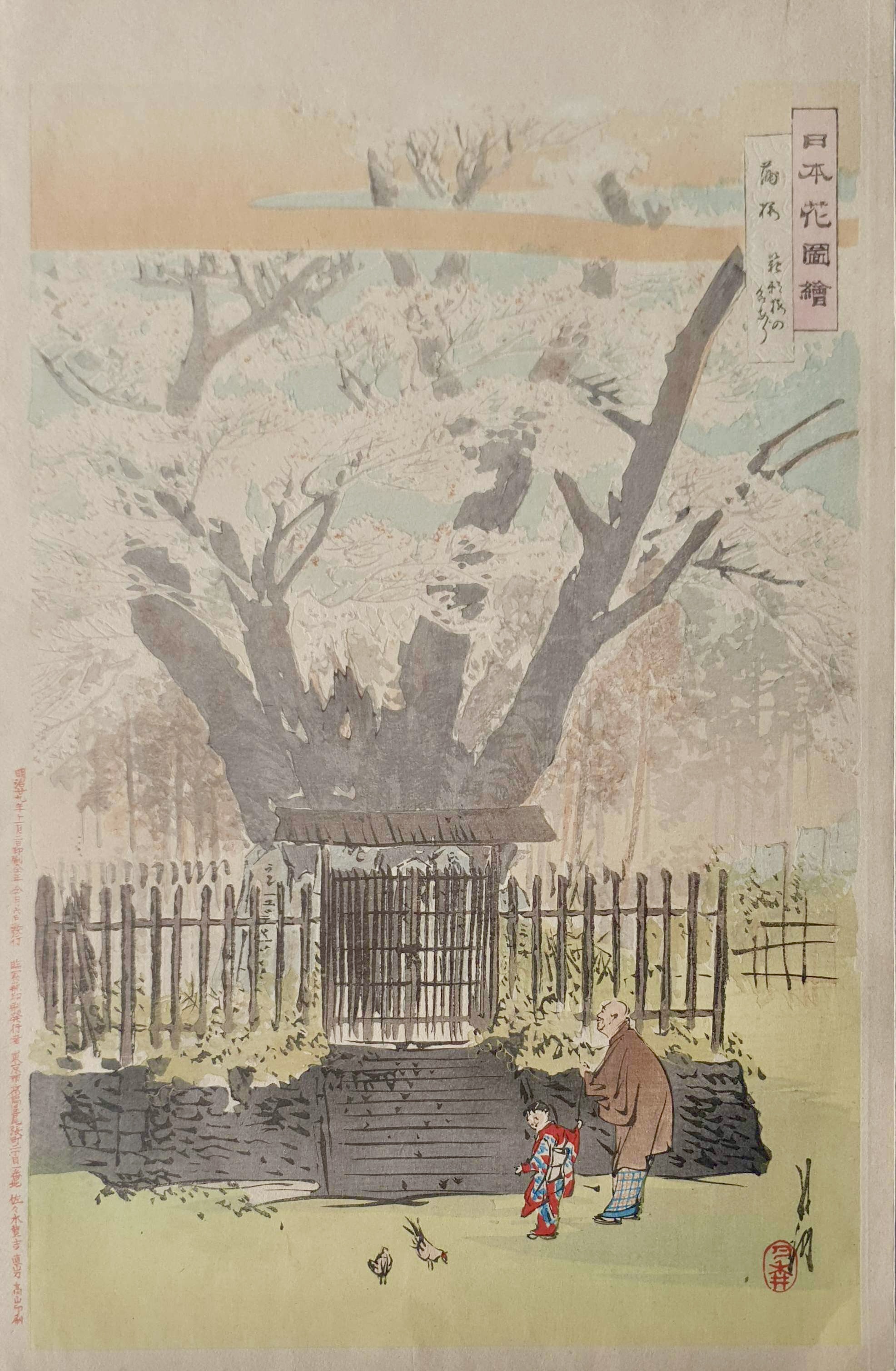 GEKKO Ogata