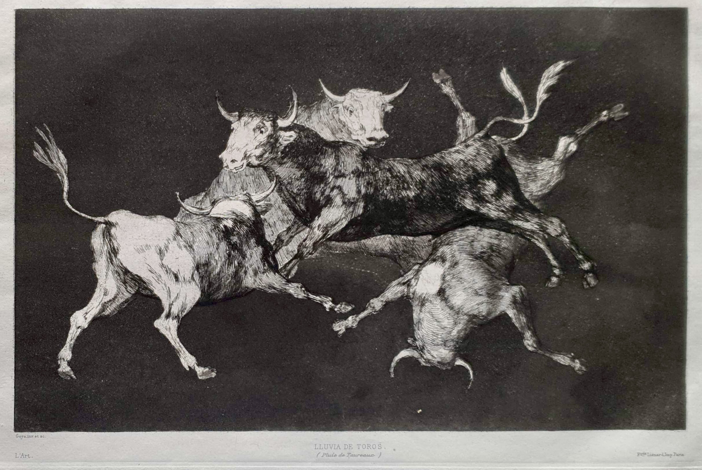 GOYA Y LUCIENTES Francisco de