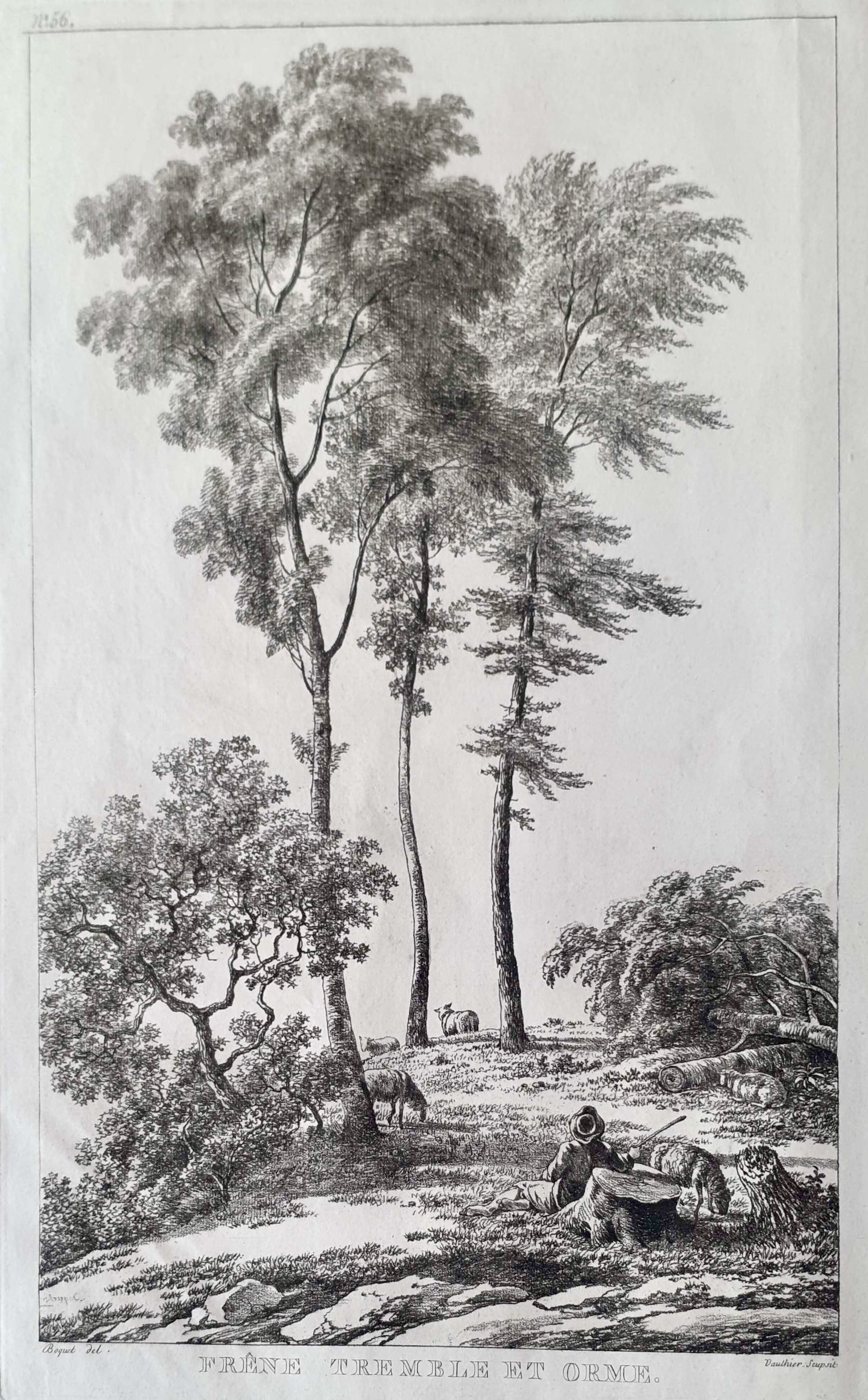 VAUTHIER Jules Antoine