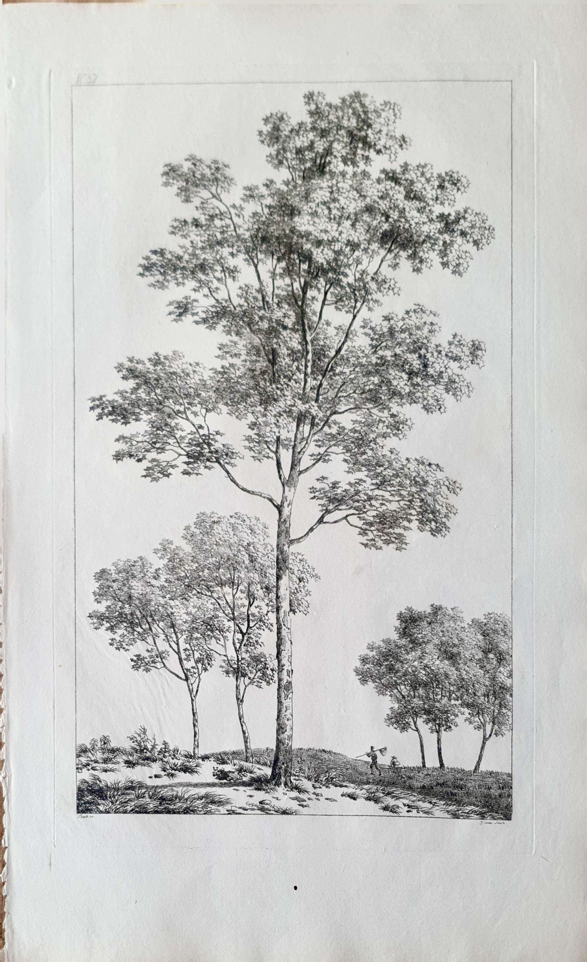Vue 2