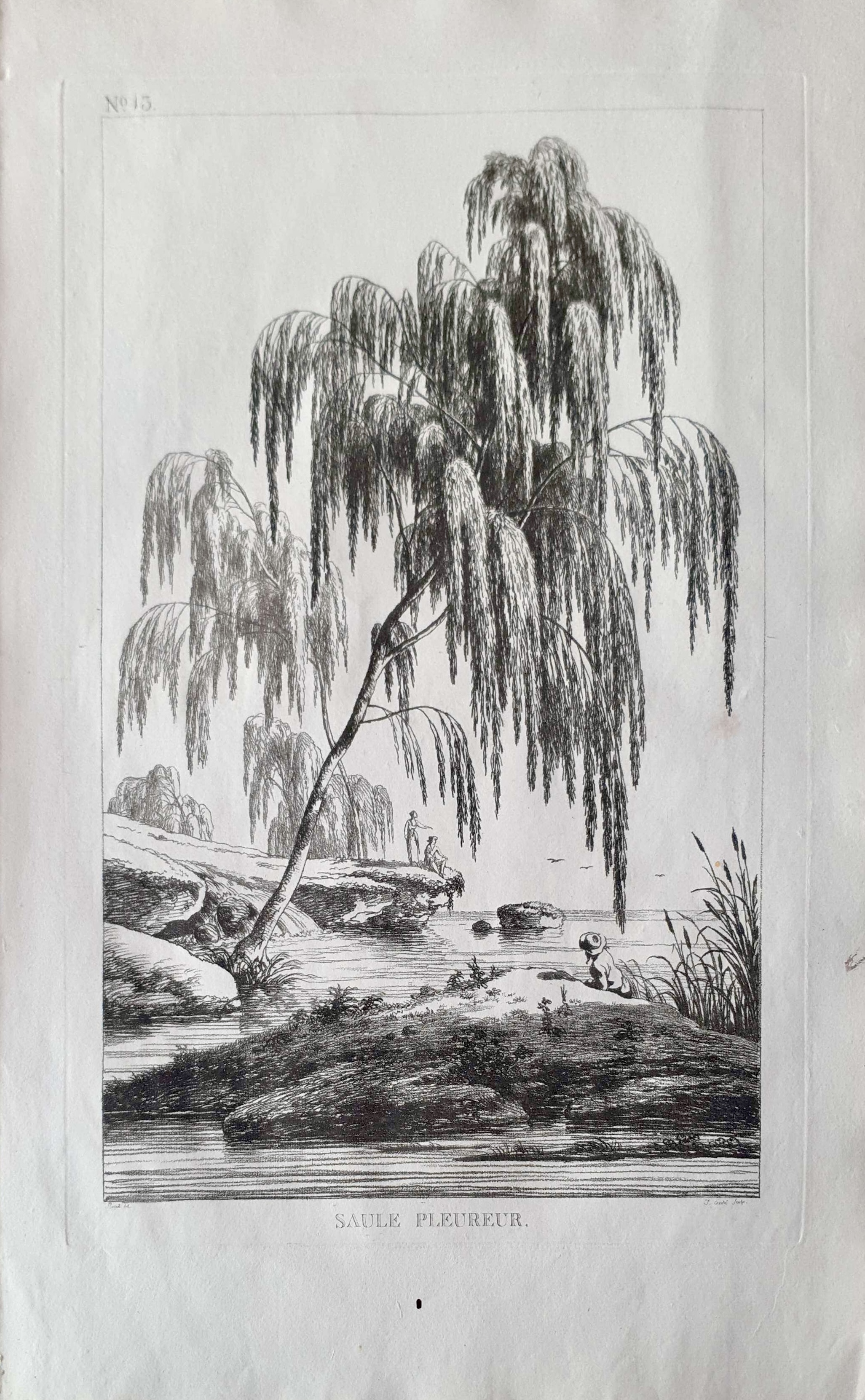 Vue 2