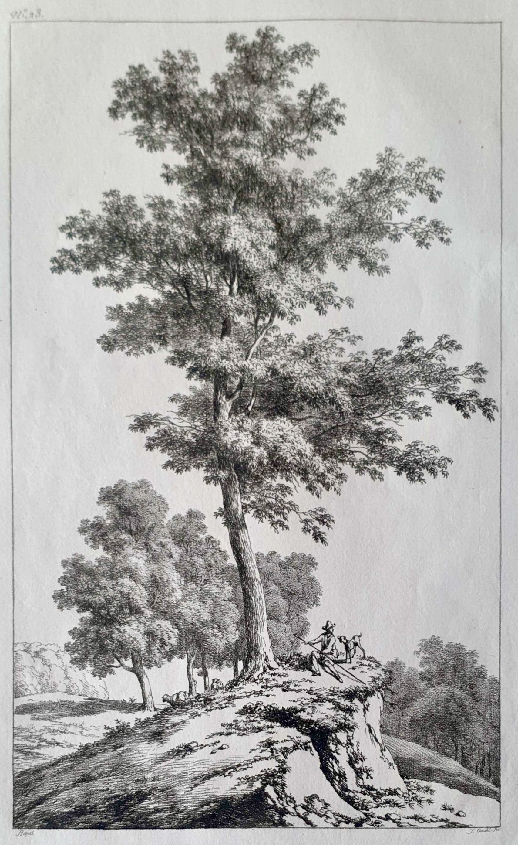 COUCHÉ Jacques