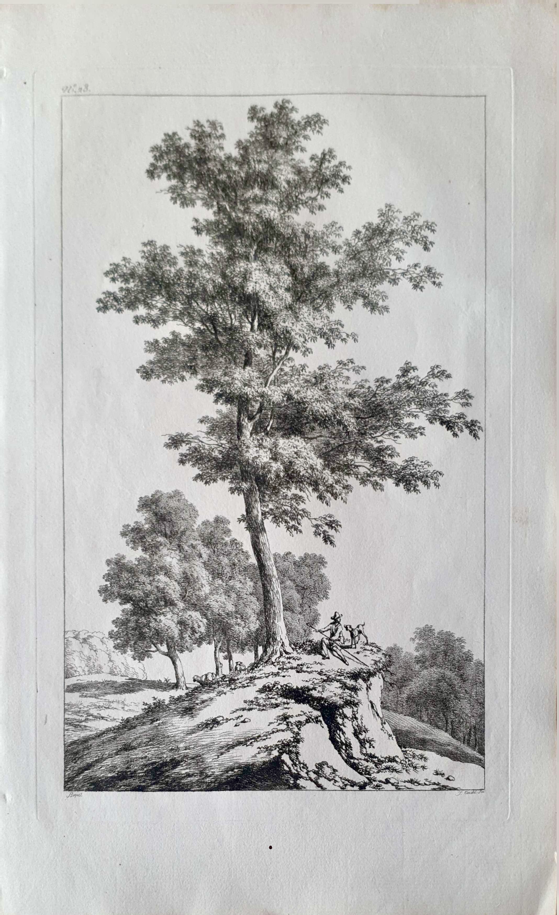 Vue 2