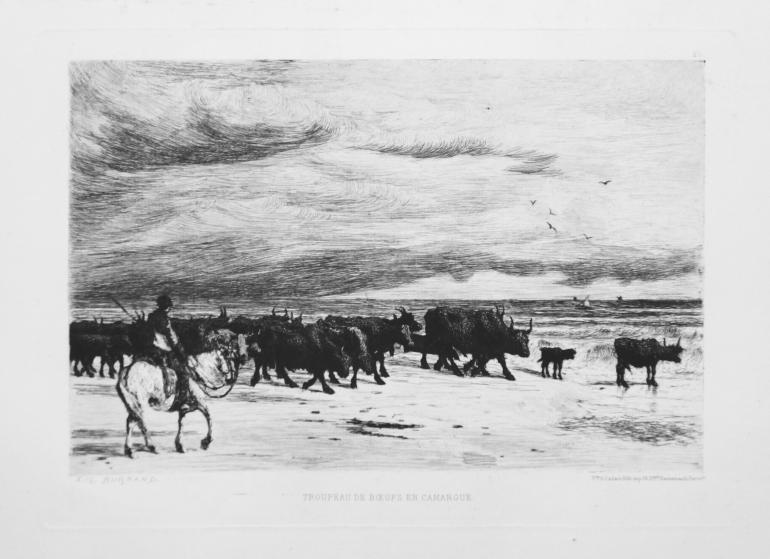 CHIFFLART Fran�ois