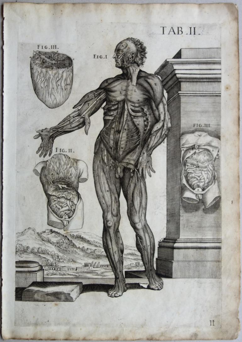 CORTONE Pierre de (d\'apr�s)