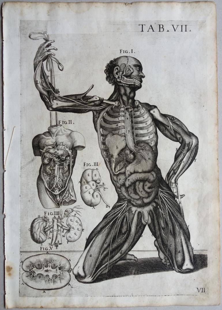 CORTONE Pierre de (d\'apr�s)