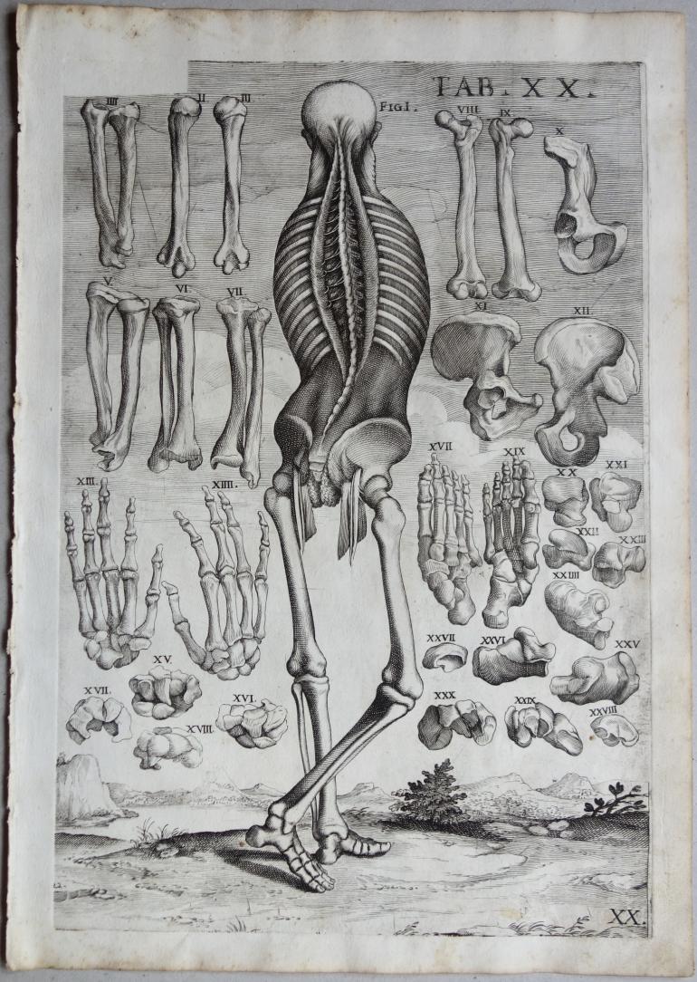 CORTONE Pierre de (d\'apr�s)