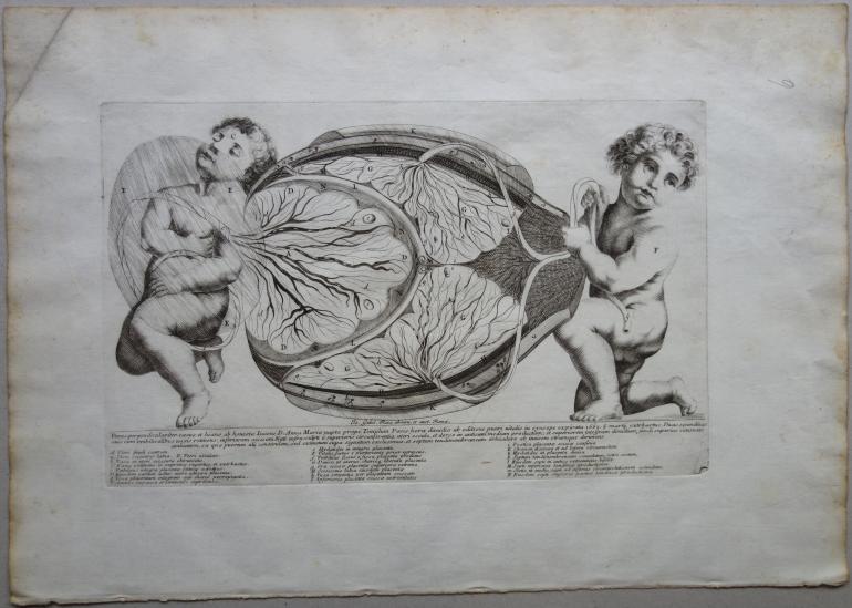 ECOLE ITALIENNE DU XVIIIE SI�CLE