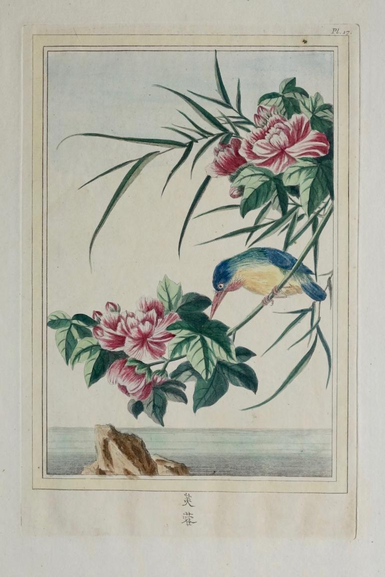 BUC'HOZ Pierre-Joseph