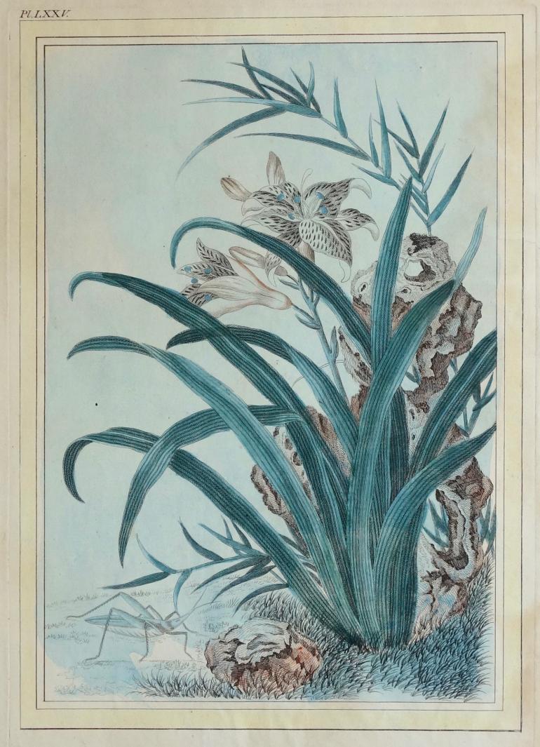 BUC'HOZ Pierre-Joseph