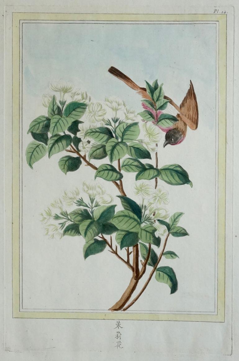 BUC'HOZ Pierre-Joseph