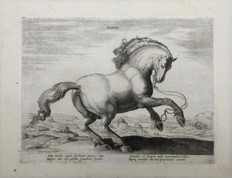 daprès VAN DER STRAET Jan