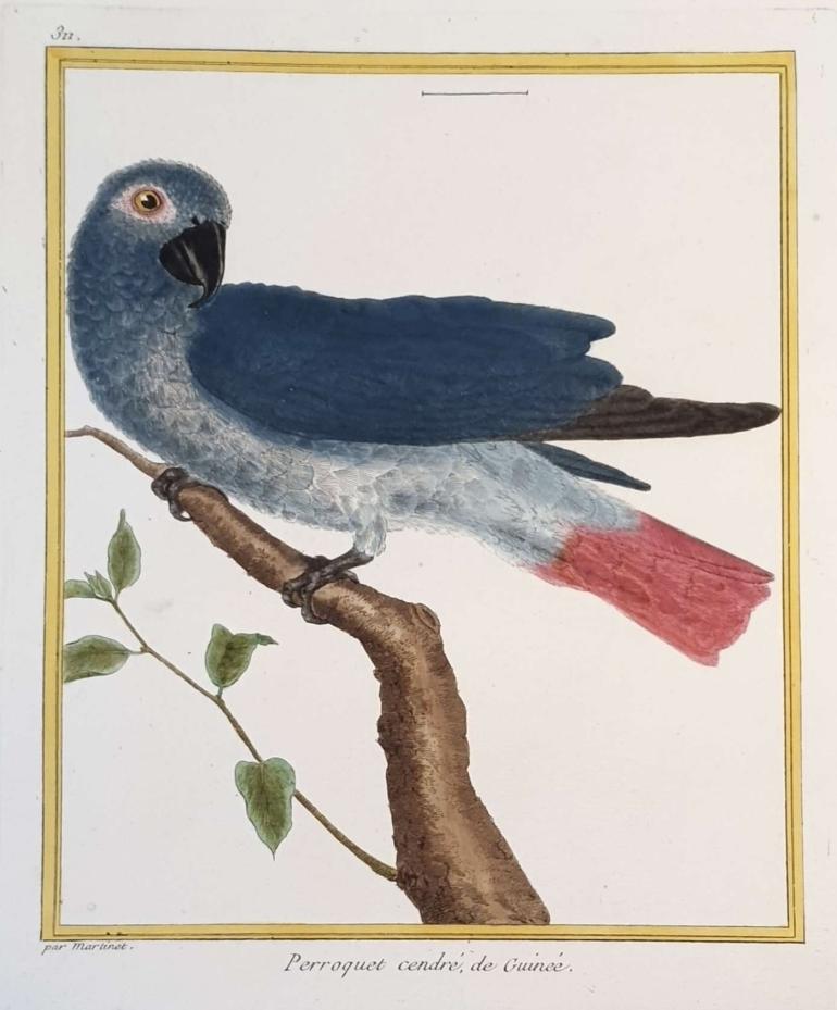 MARTINET, Fran�ois Nicolas