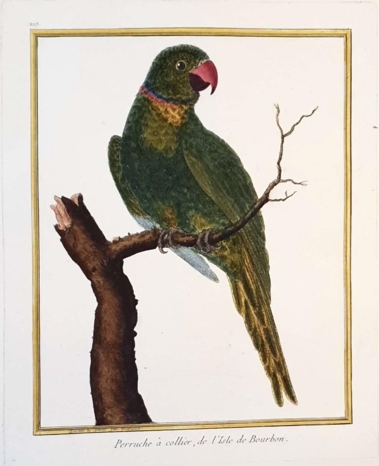 MARTINET, Fran�ois Nicolas