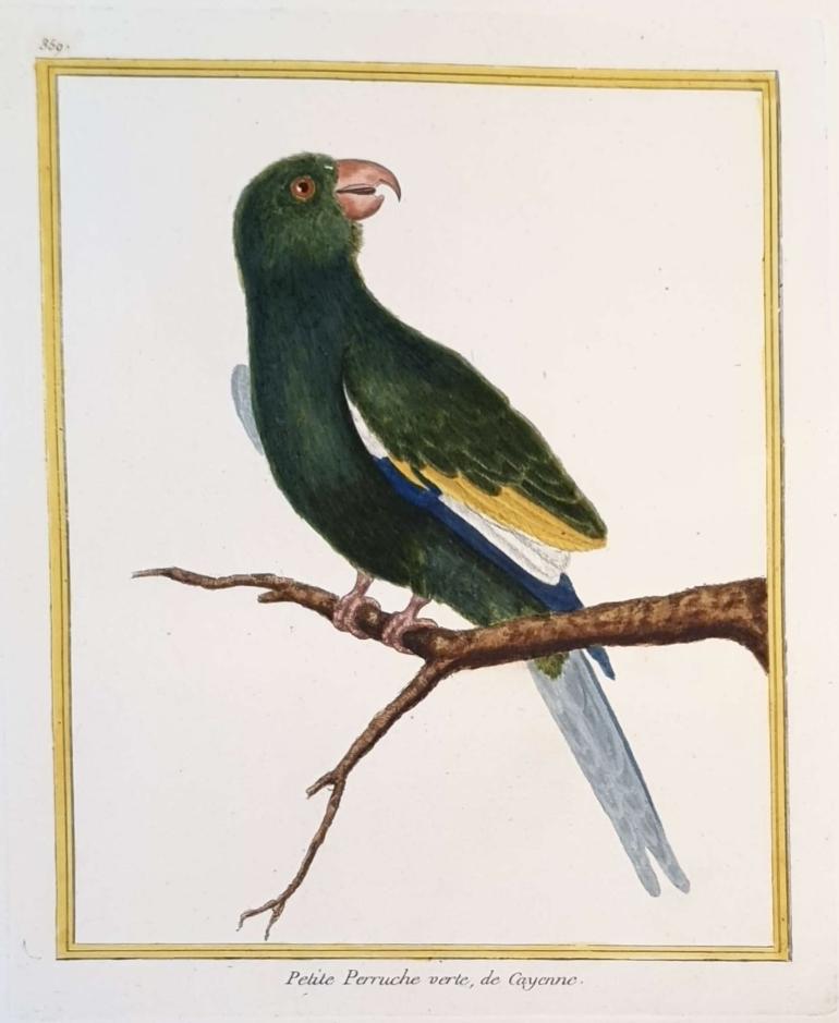 MARTINET, Fran�ois Nicolas