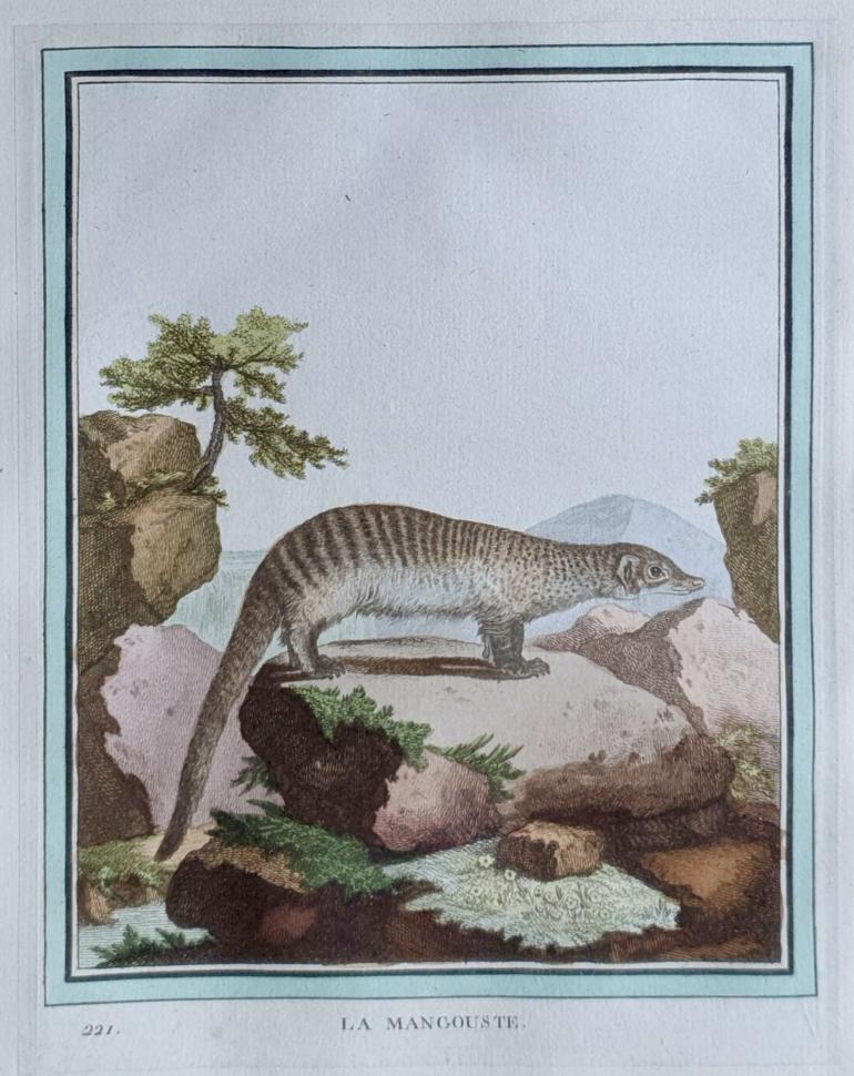 MARTINET, Fran�ois Nicolas