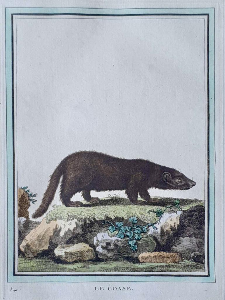 MARTINET, Fran�ois Nicolas