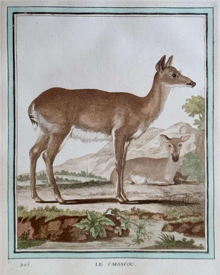 MARTINET, Fran�ois Nicolas