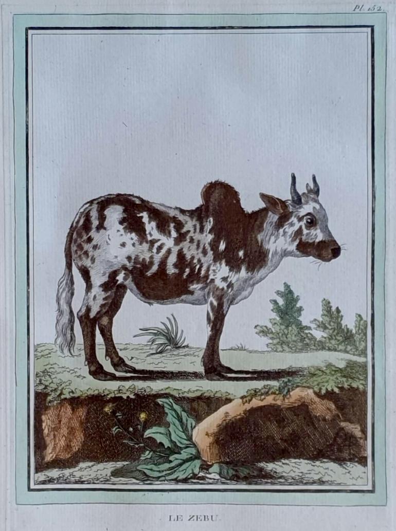 MARTINET, Fran�ois Nicolas