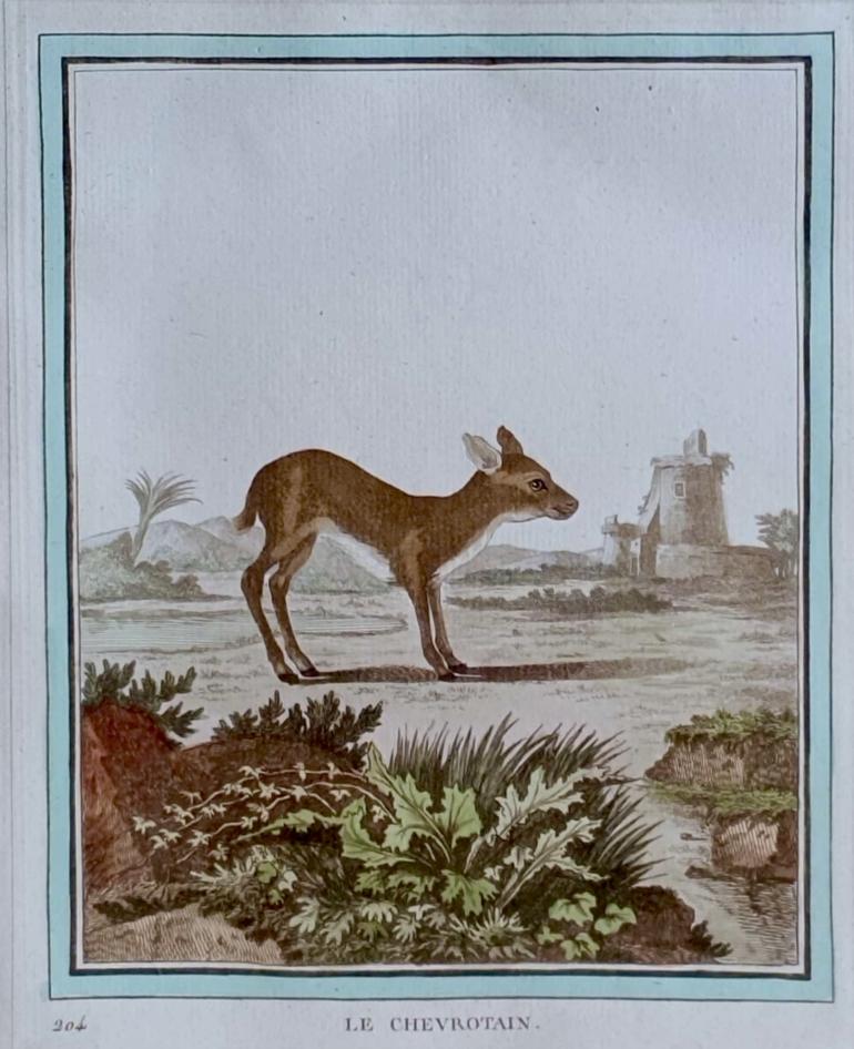 MARTINET, Fran�ois Nicolas