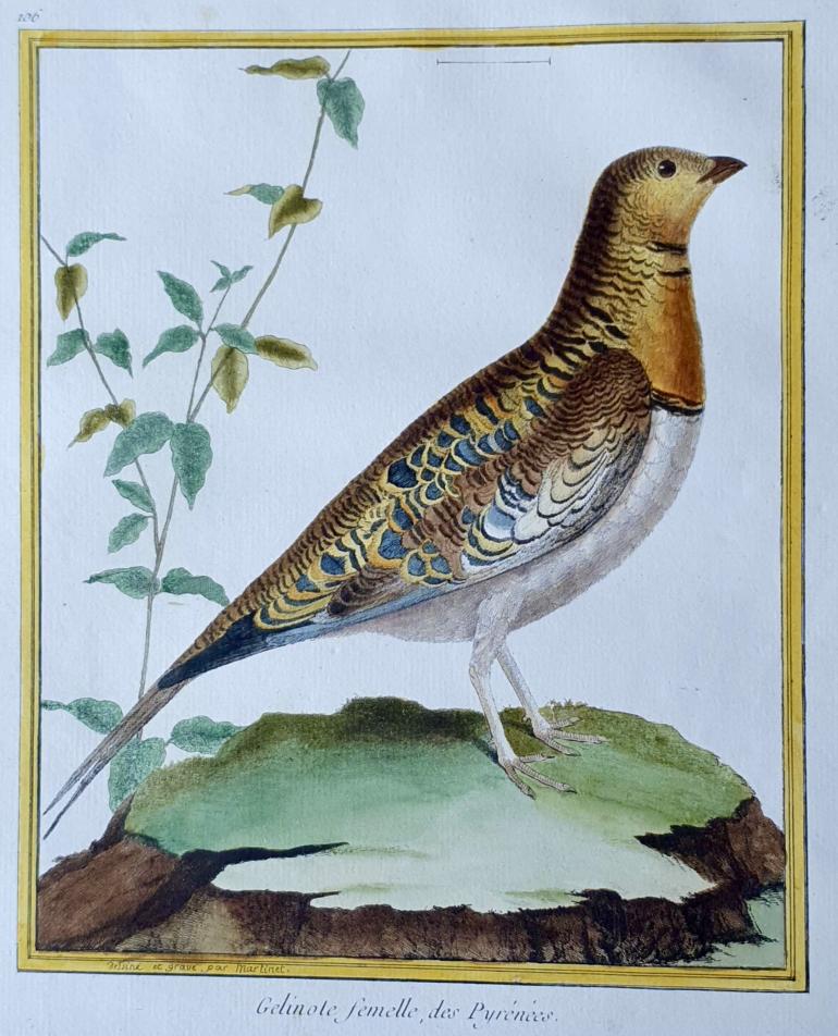 MARTINET, Fran�ois Nicolas