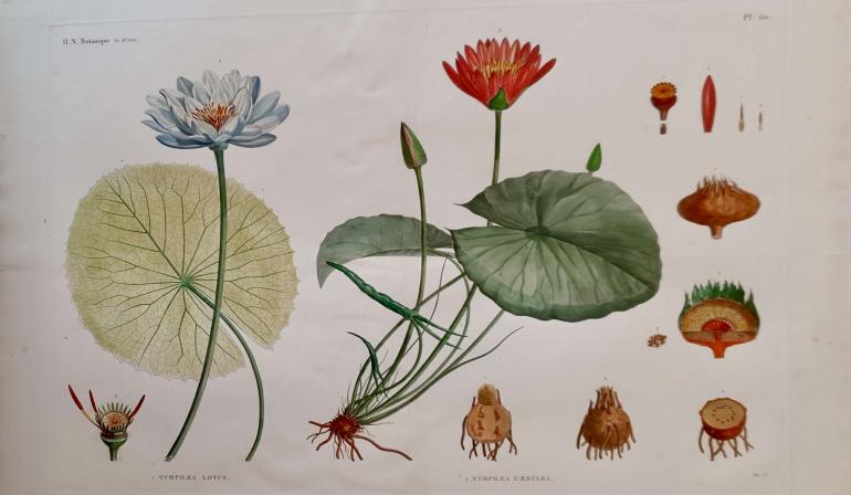 JOMARD Edme-François