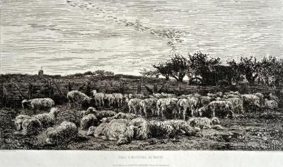 DAUBIGNY Charles Fran�ois